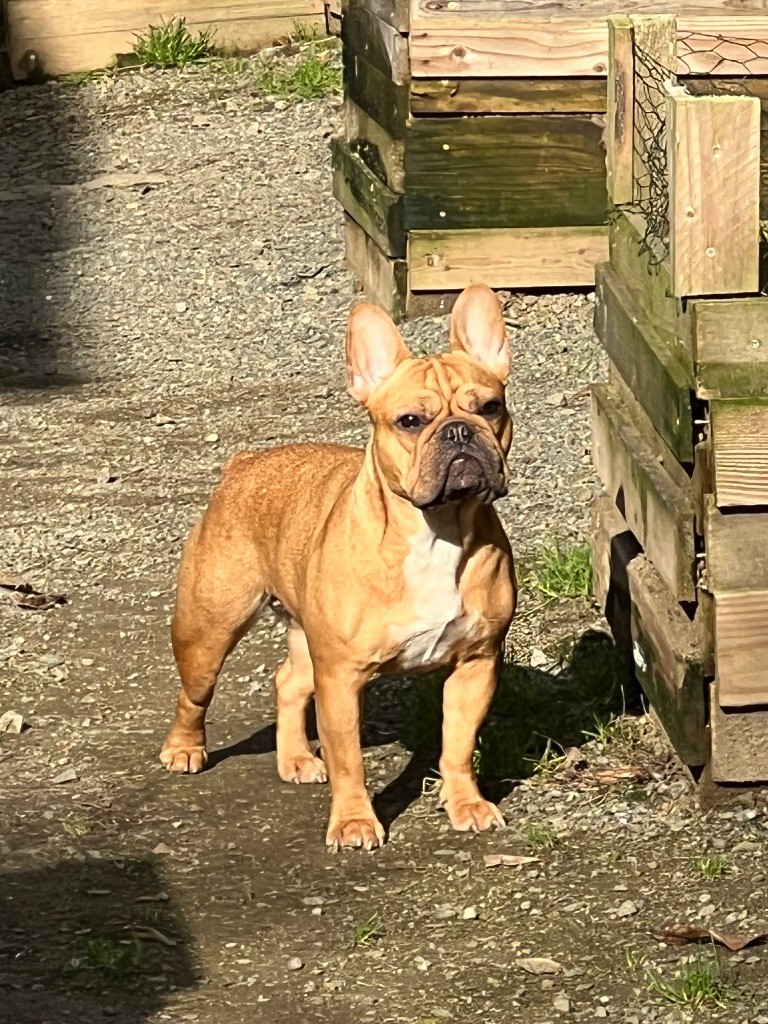 Tchikita (Sans Affixe)