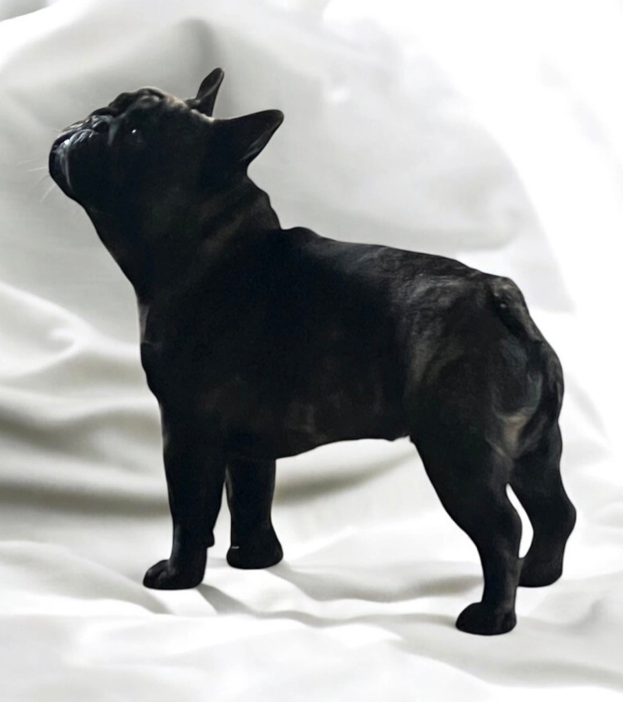 Versace du domaine de Bodaway