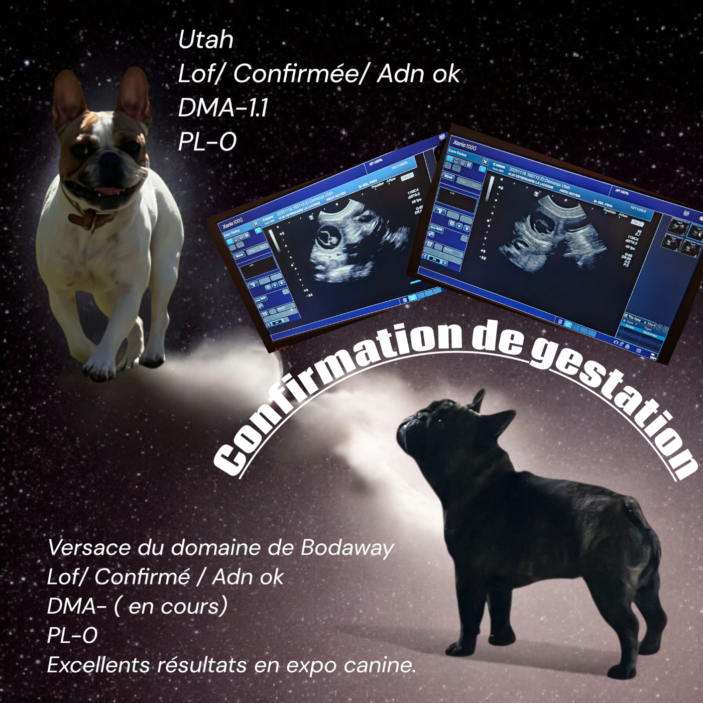 Confirmation de gestation