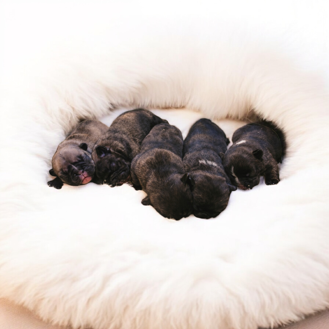 Disponible à la réservation