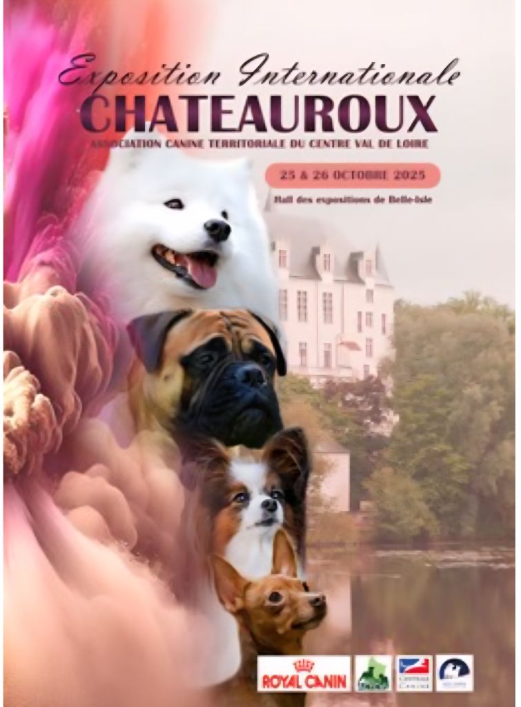 Exposition canine le 26 octobre 2025
